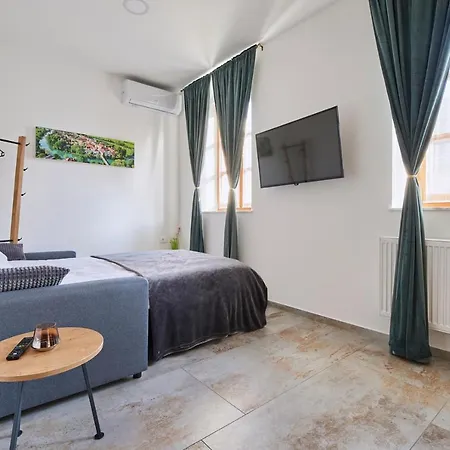 Ob Krki And Gym Appartement Kostanjevica na Krki