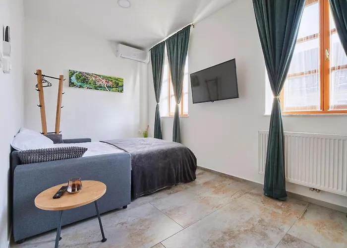 Ob Krki And Gym Appartement Kostanjevica na Krki